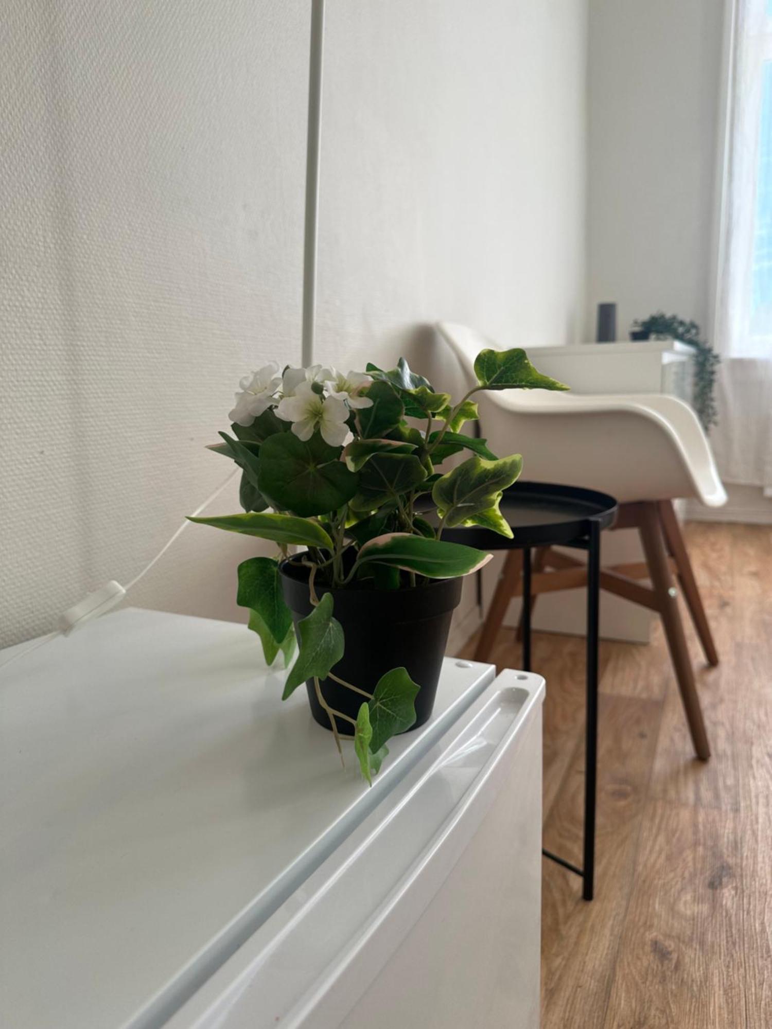 The Bloom Apartments Oslo Ngoại thất bức ảnh